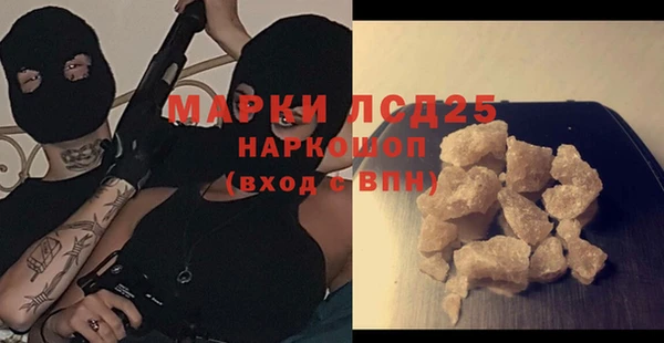 spice Аркадак
