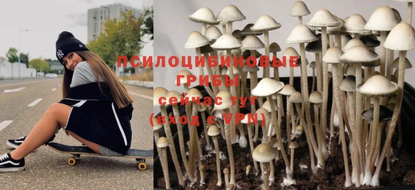 spice Аркадак