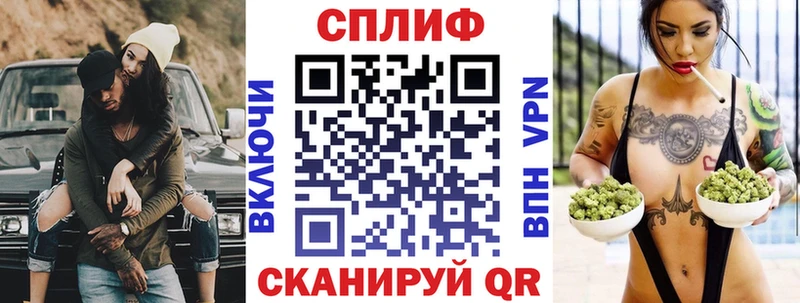 Бошки марихуана гибрид  Терек 